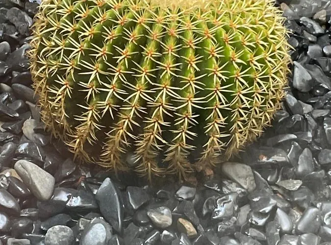 Sea View 2-bedroom Colony Club Puerto del Carmen (Lanzarote)