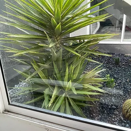 Apartmán Sea View 2-bedroom Colony Club Puerto del Carmen (Lanzarote)