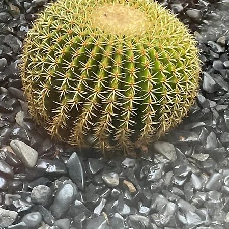 Sea View 2-bedroom Colony Club Puerto del Carmen