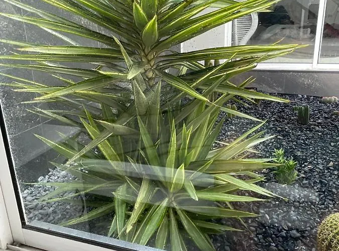 아파트 Sea View 2-bedroom Colony Club 푸에르토 델 카르멘